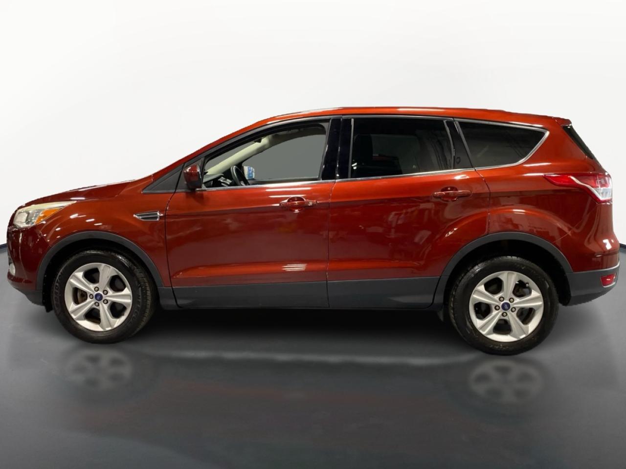 2014 Ford Escape SE - Photo #8