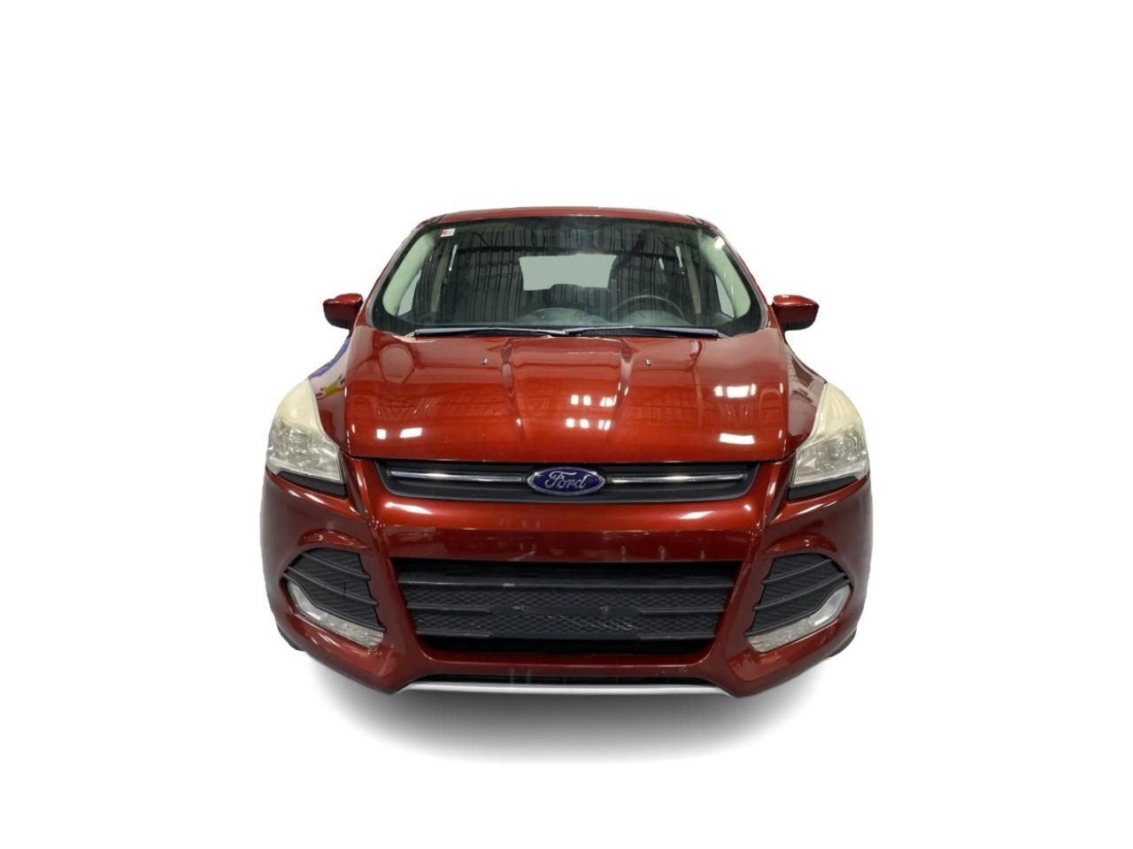 2014 Ford Escape SE Photo