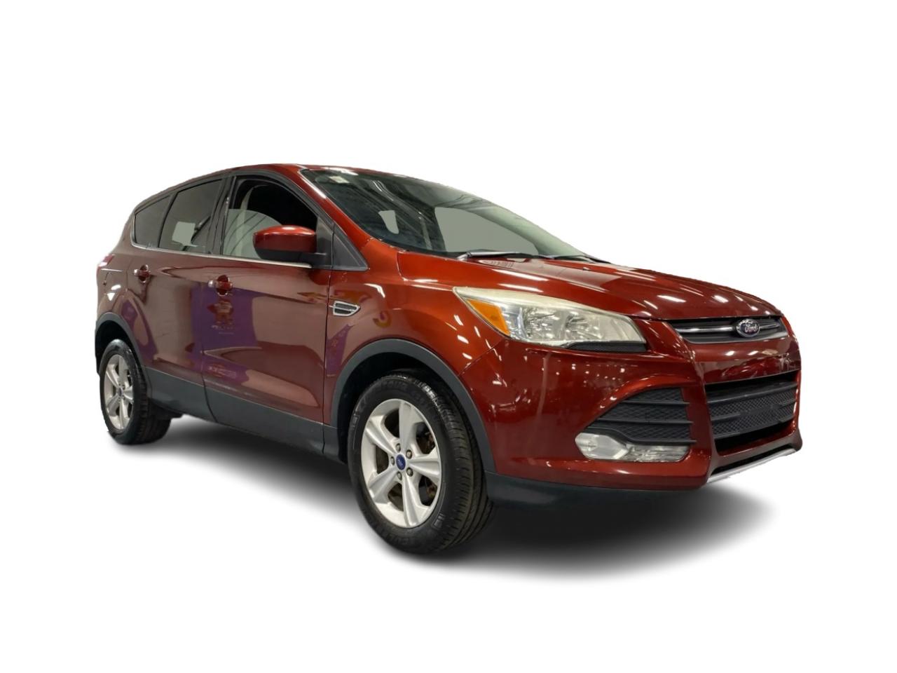 2014 Ford Escape SE Photo