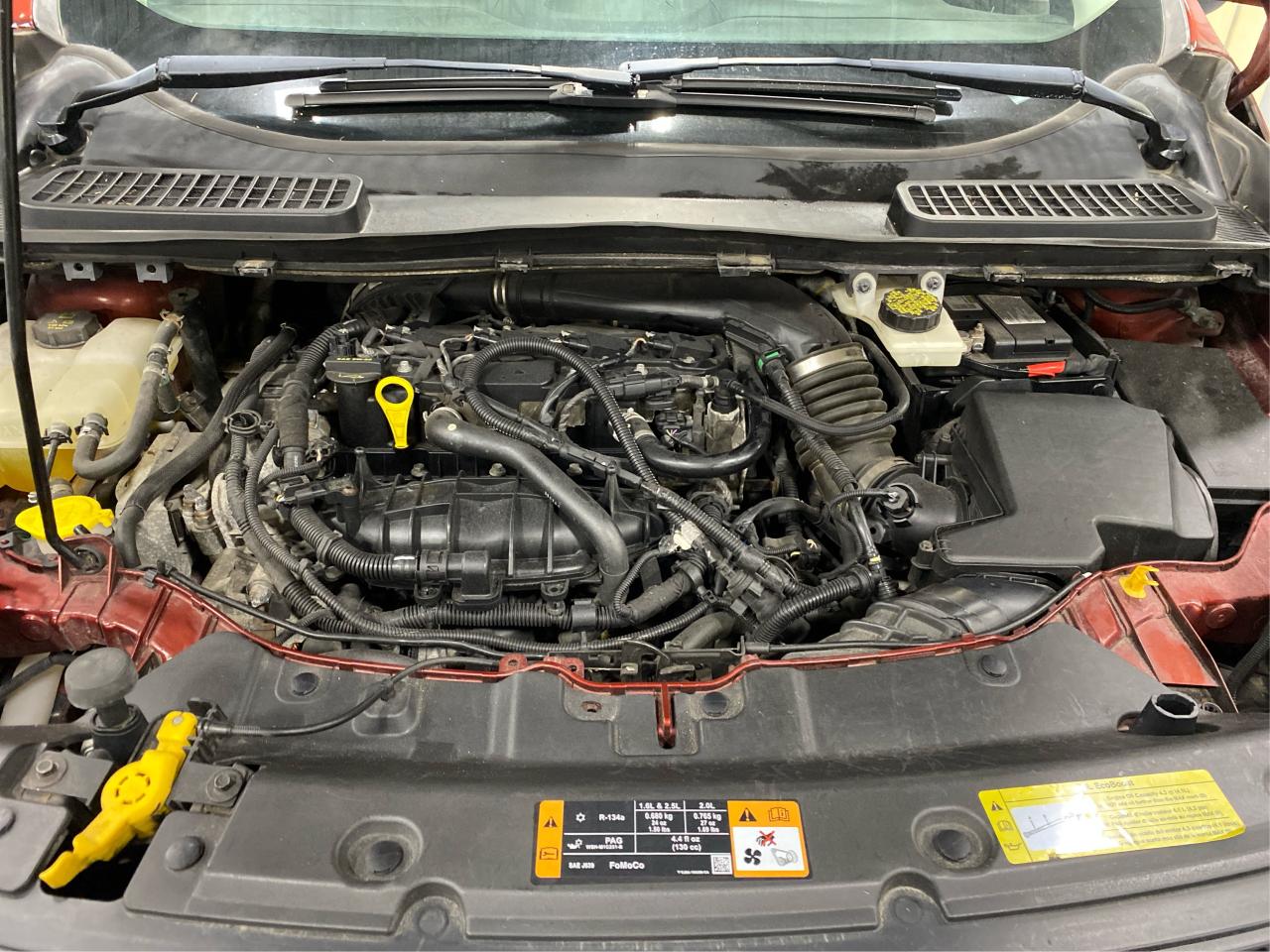 2014 Ford Escape SE Photo