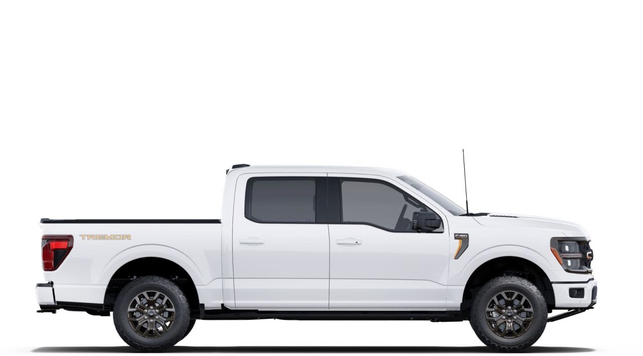 2025 Ford F-150 4x4 Supercrew-145 Photo4