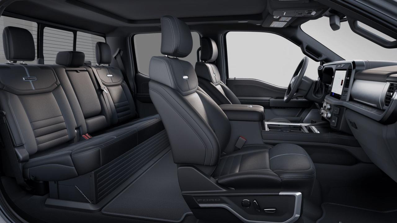 2025 Ford F-350 Super Duty SRW PLATINUM Photo5