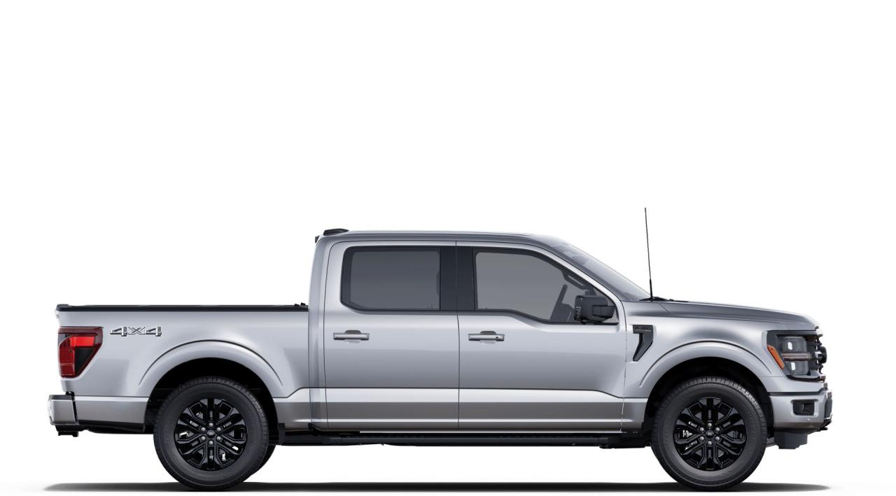 2025 Ford F-150 XLT Photo4