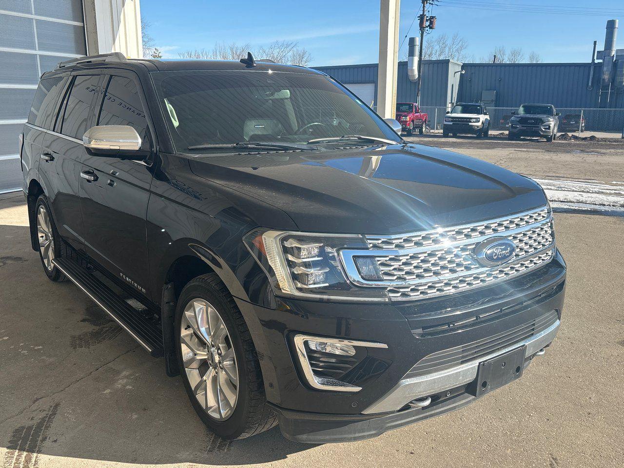 2019 Ford Expedition Platinum - Photo #3