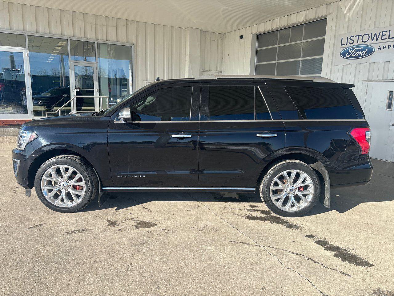 2019 Ford Expedition Platinum - Photo #5
