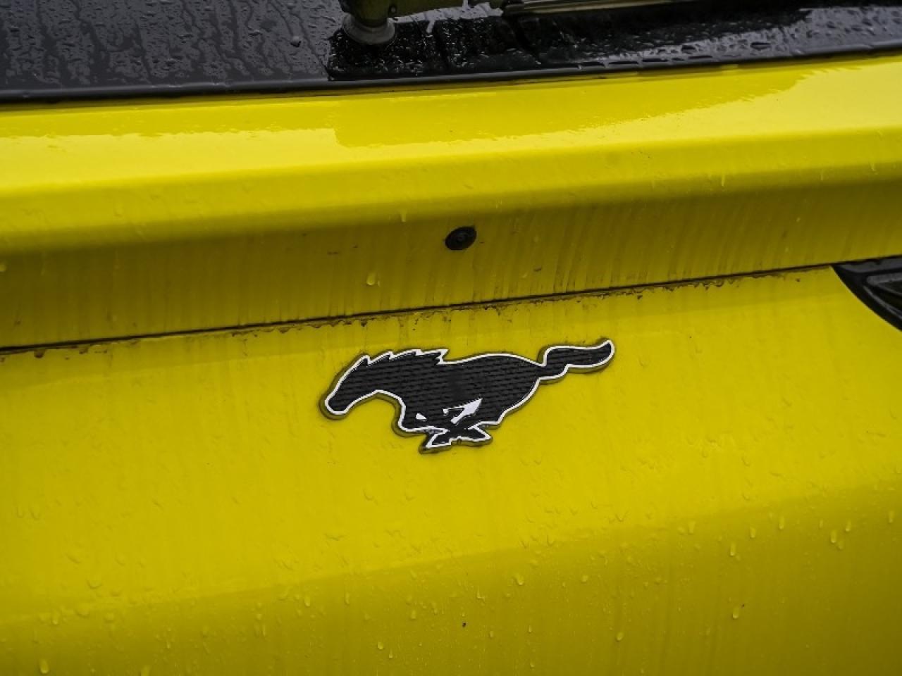 2025 Ford Mustang Mach-E Premium Photo