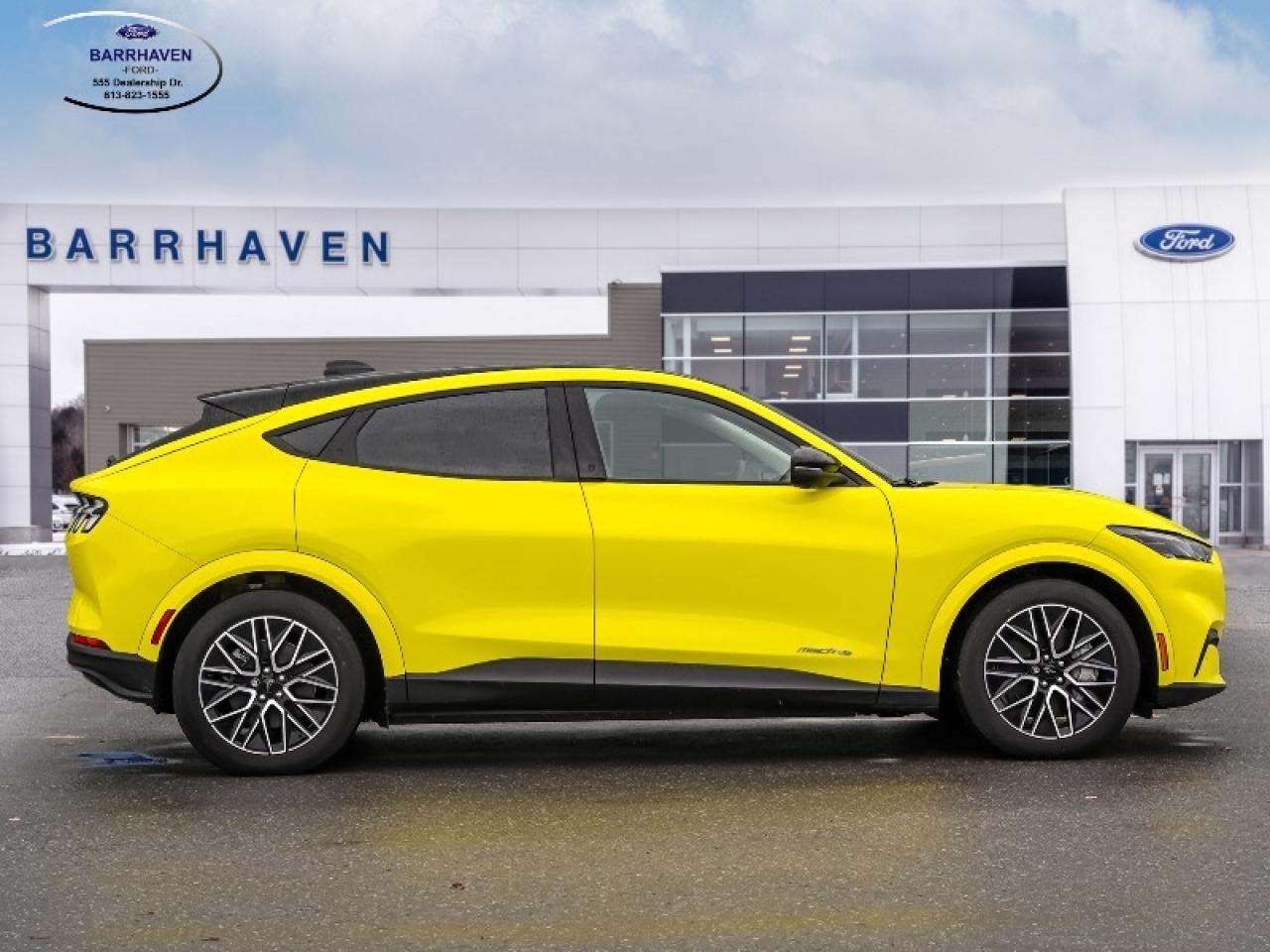 2025 Ford Mustang Mach-E Premium Photo