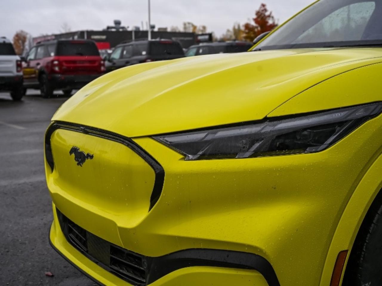 2025 Ford Mustang Mach-E Premium Photo