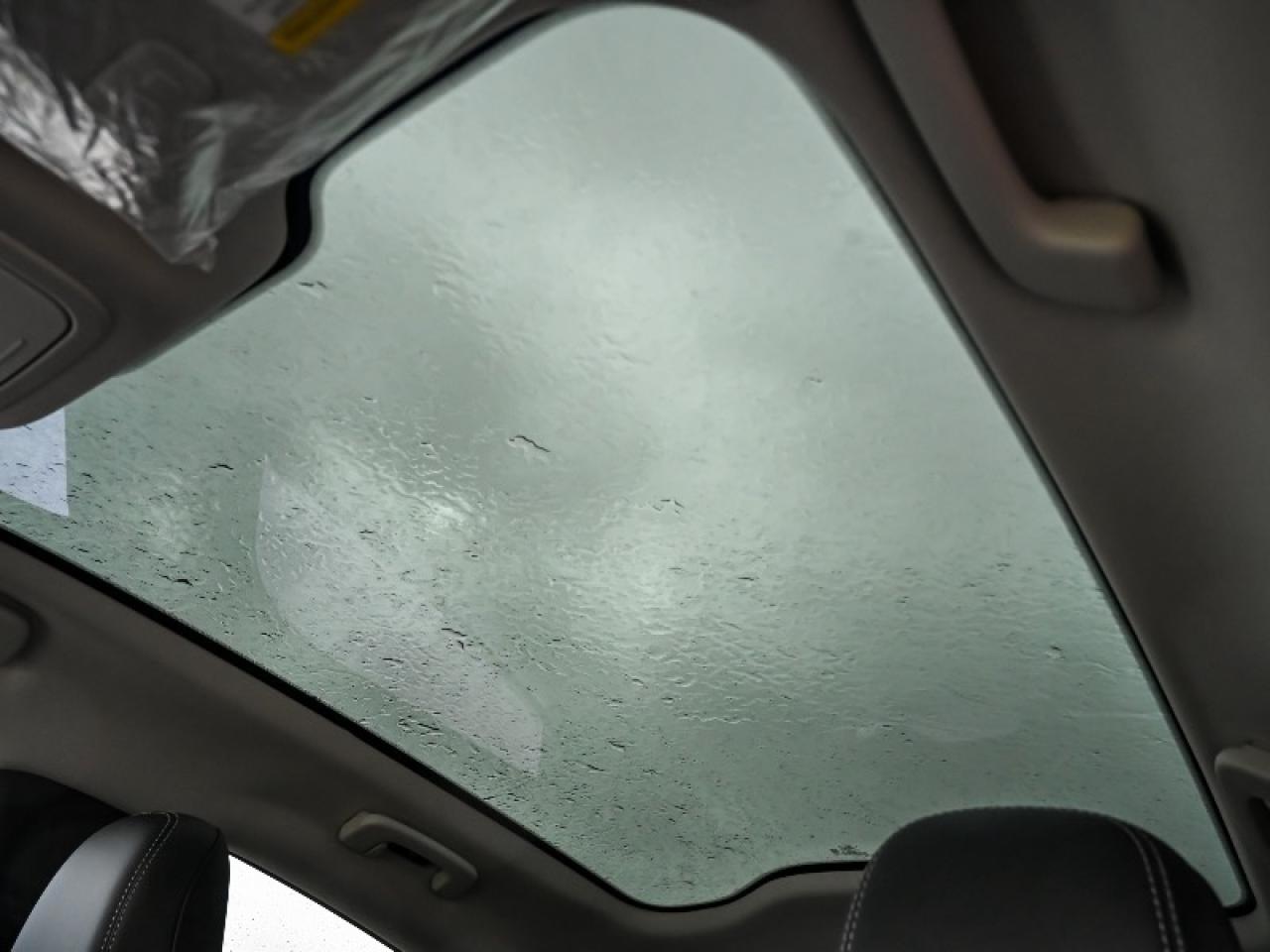 2025 Ford Mustang Mach-E Premium Photo