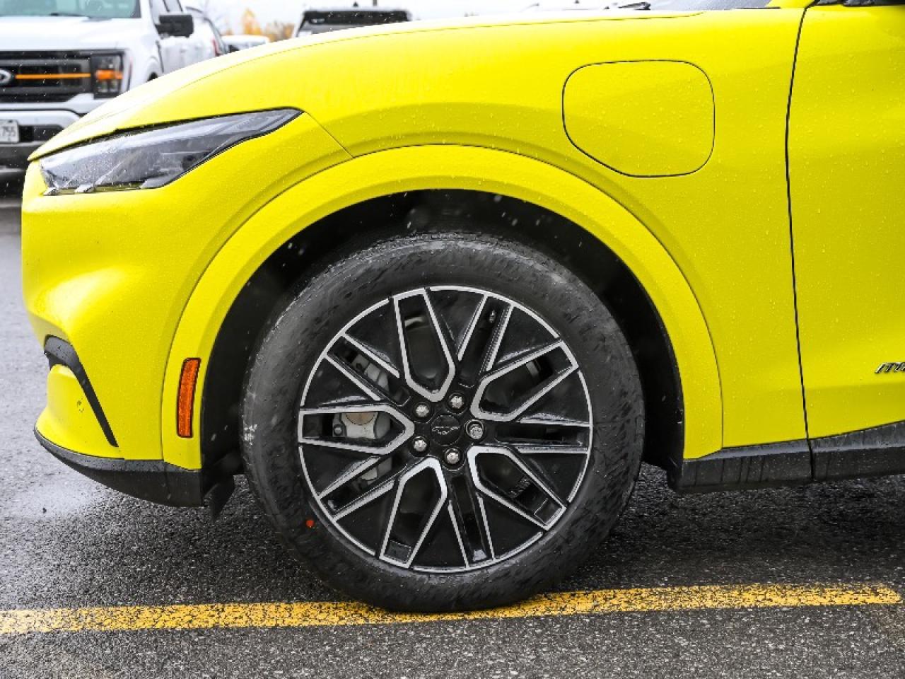 2025 Ford Mustang Mach-E Premium Photo