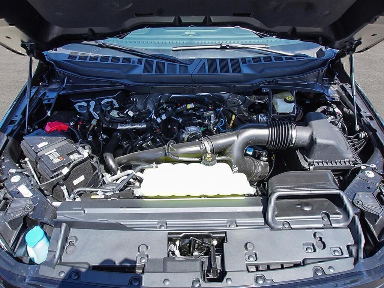 2025 Ford F-150 XLT Photo