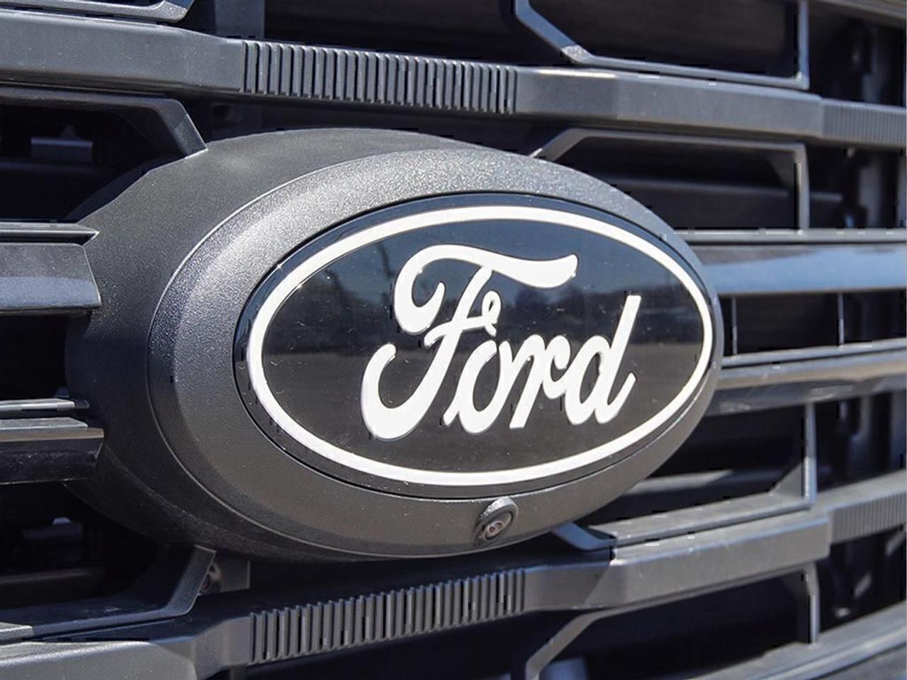 2025 Ford F-150 XLT Photo