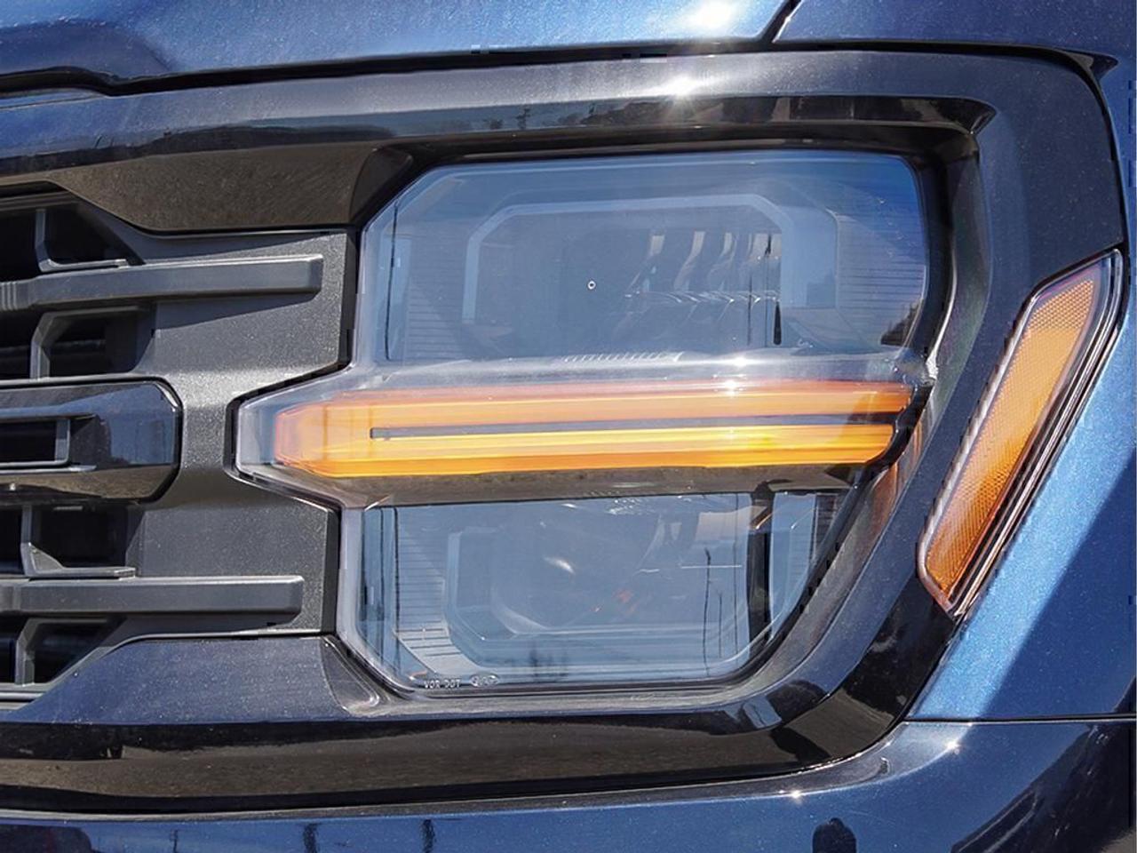 2025 Ford F-150 XLT Photo