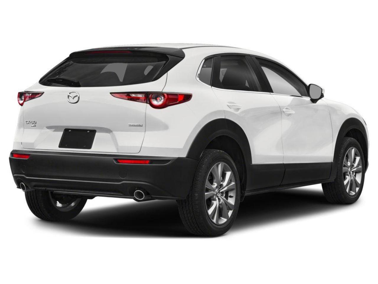2025 Mazda CX-30 GS Photo2