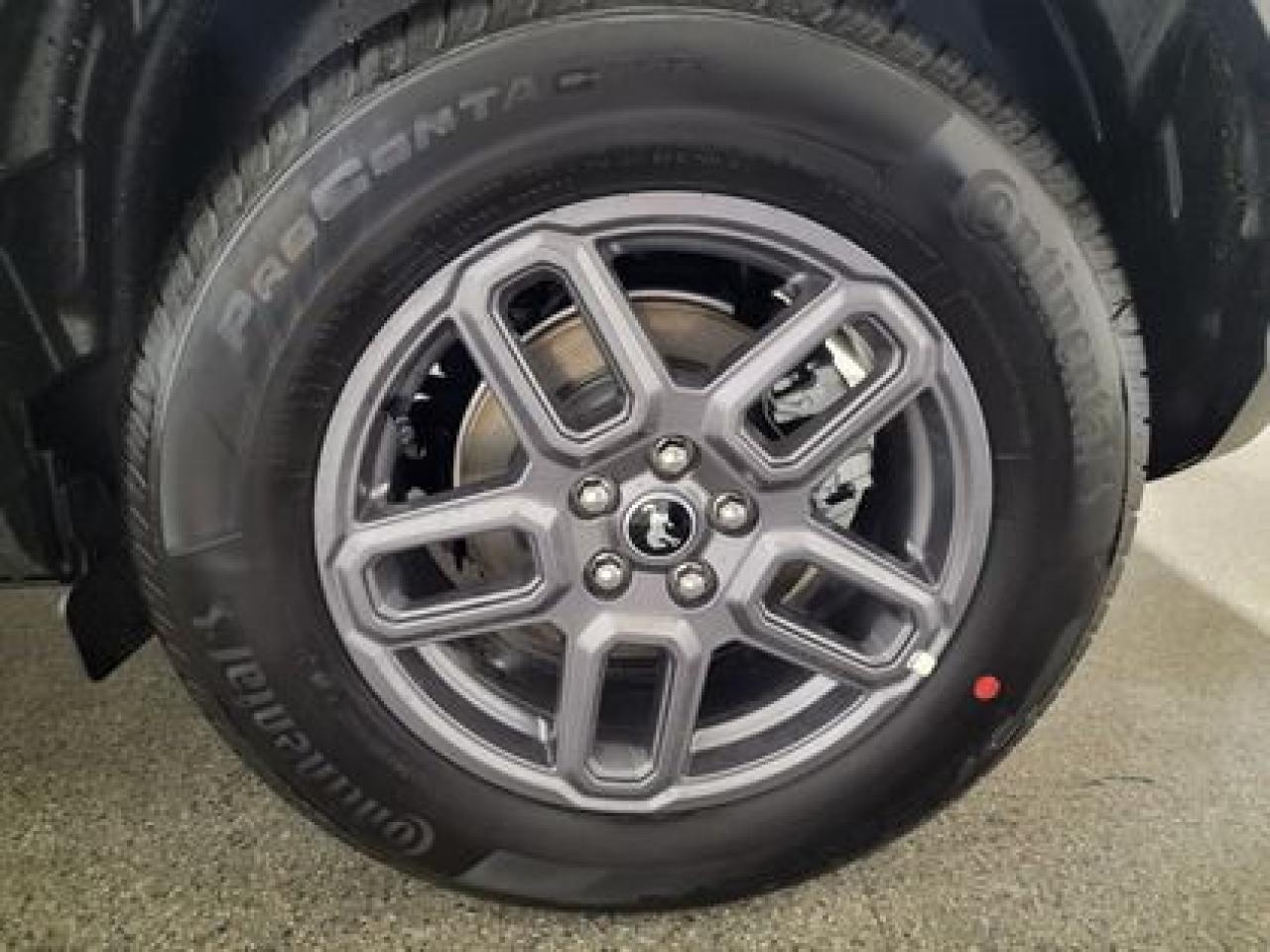 12336102