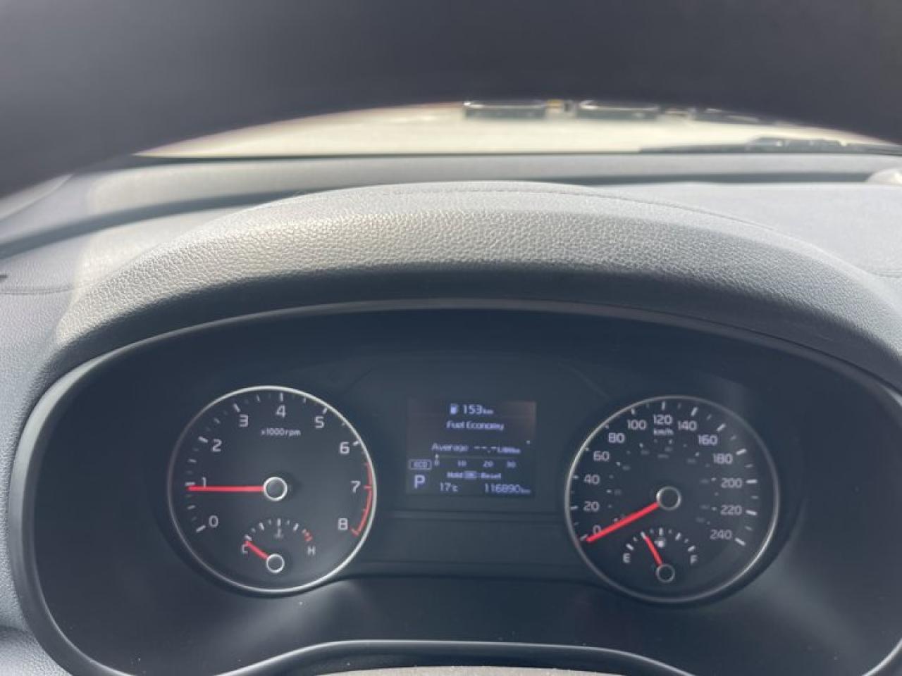 12341262