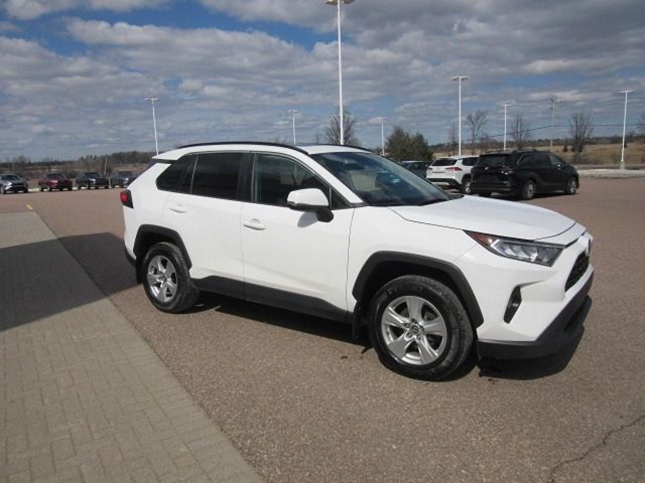 2020 Toyota RAV4 XLE - Photo #9
