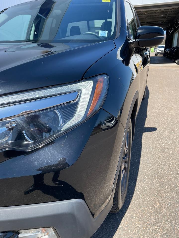 2019 Honda Ridgeline SPORT Photo