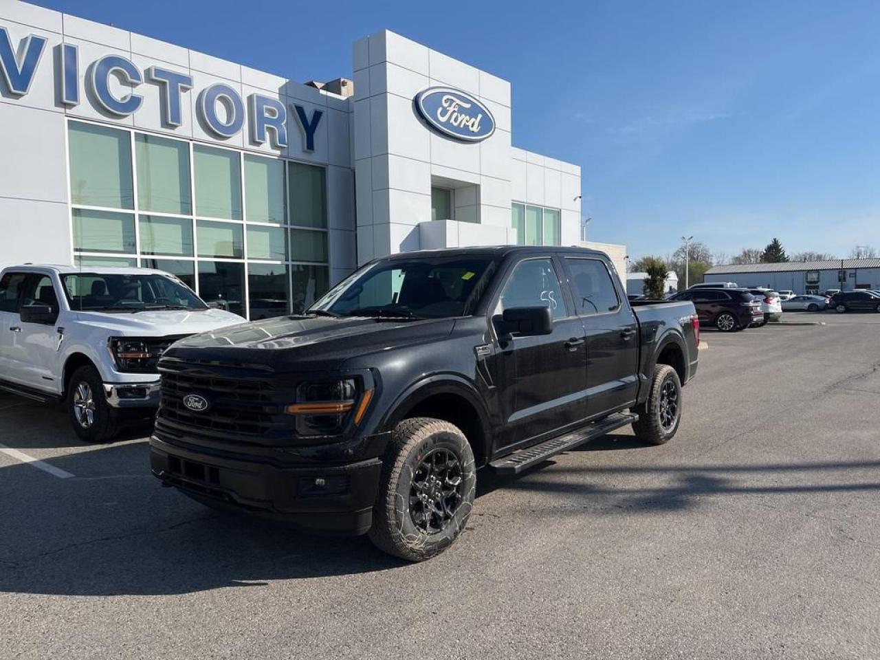 New 2025 Ford F-150 XLT for sale in Chatham, ON