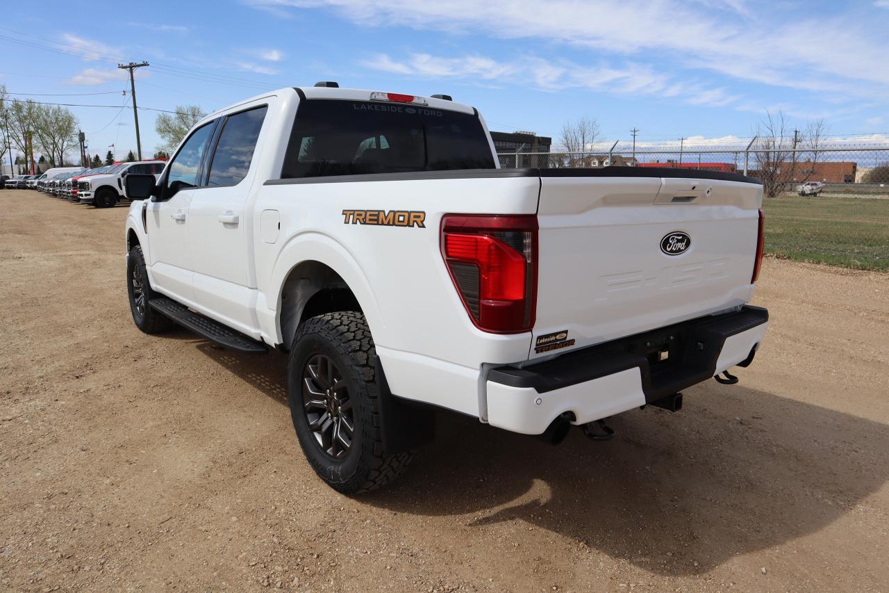 2025 Ford F-150 Tremor Photo3