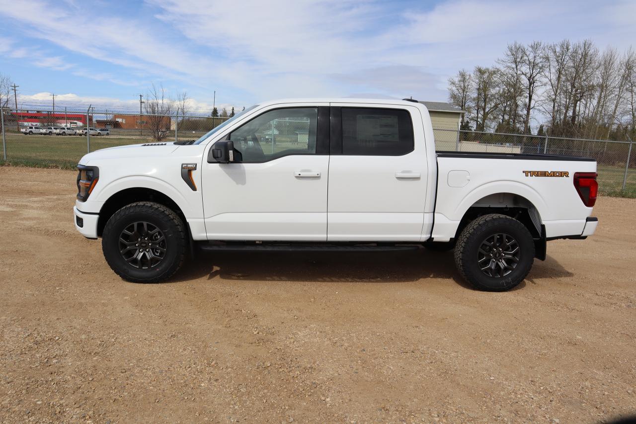 2025 Ford F-150 Tremor Photo2