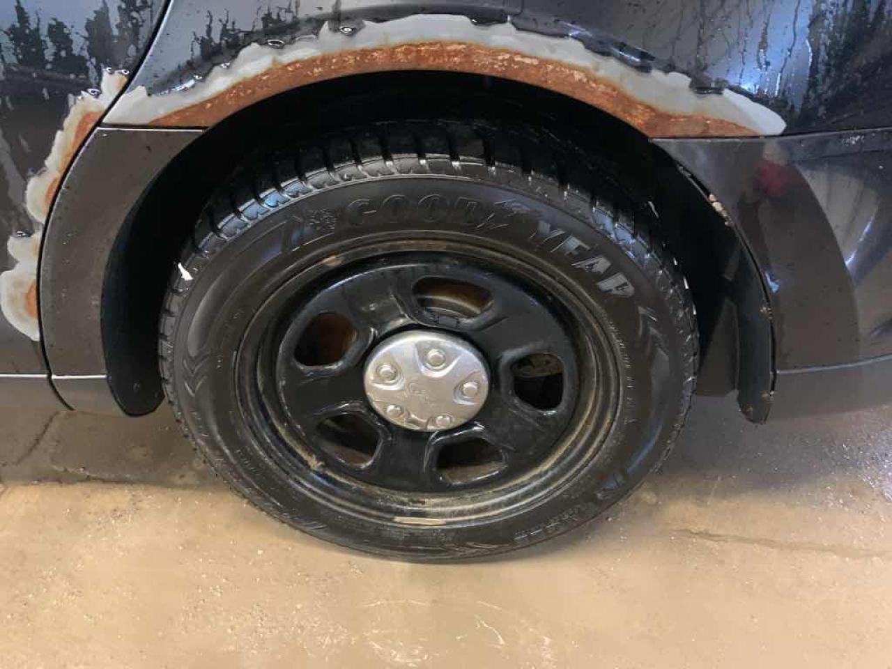 12356556