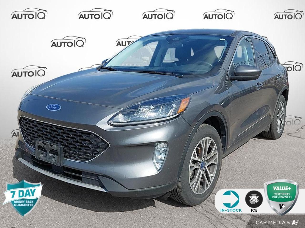 Used 2022 Ford Escape SEL - CO PILOT 360 ASSIST - NAVIGATION for sale in Hamilton, ON