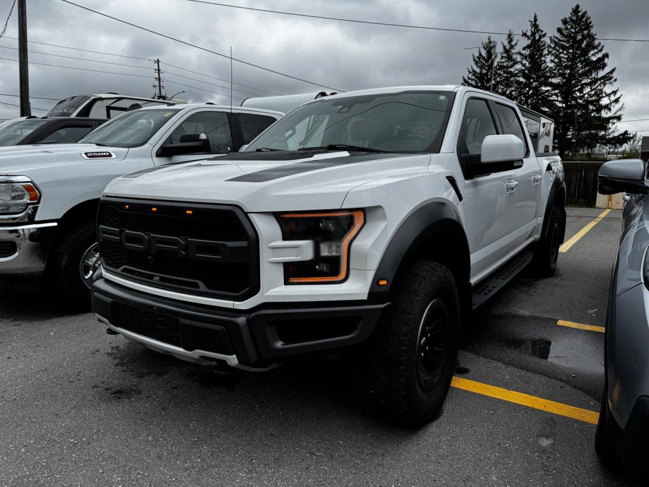 Used 2017 Ford F-150 RAPTOR for sale in London, ON