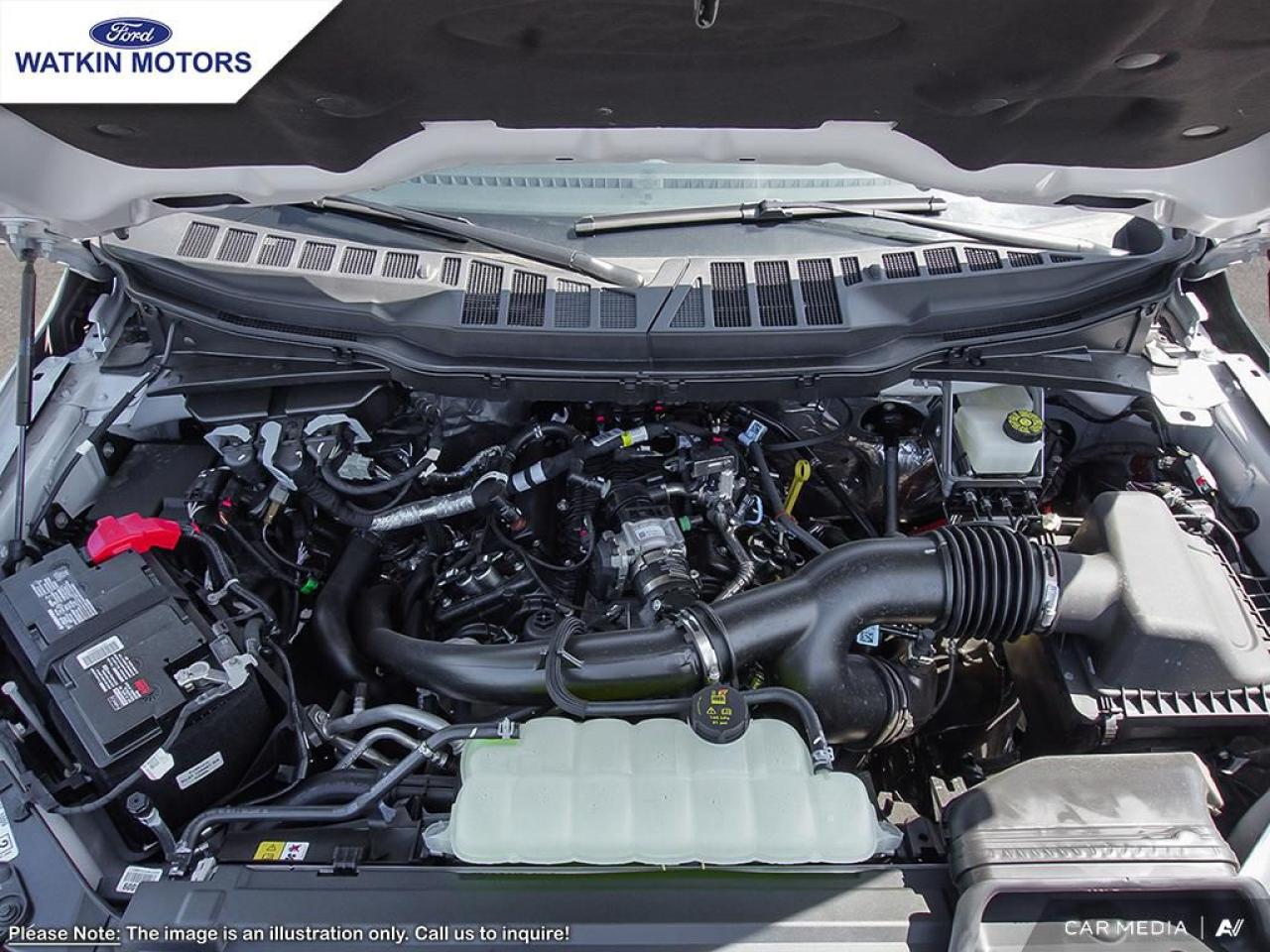 2025 Ford F-150 XLT Photo5