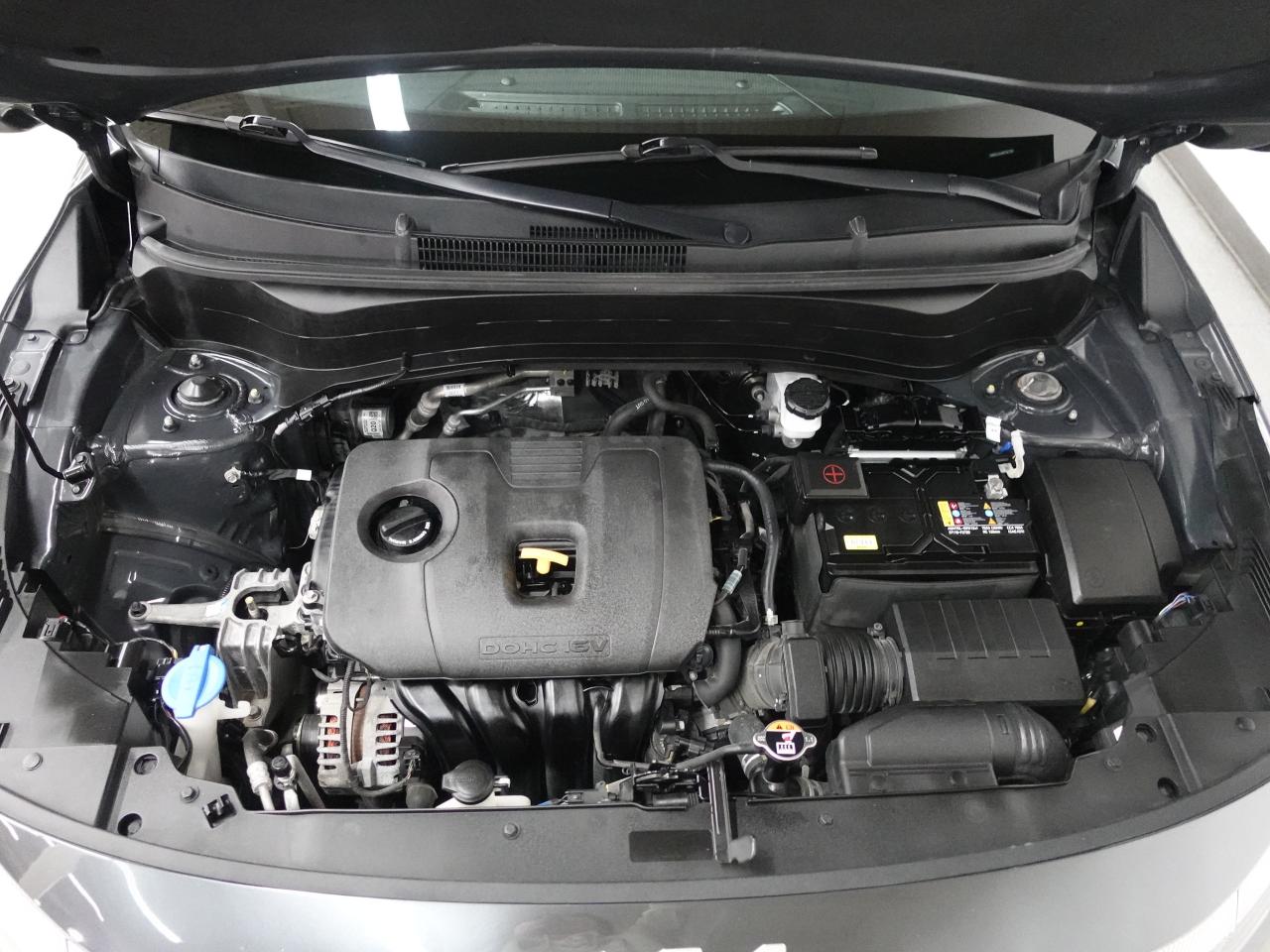 2022 Kia Seltos EX | AWD | Leather | Sunroof | BSM | CarPlay