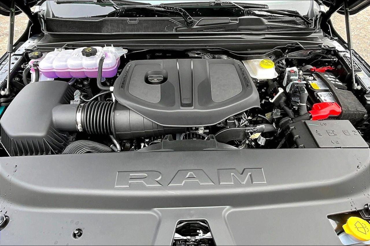 12364593