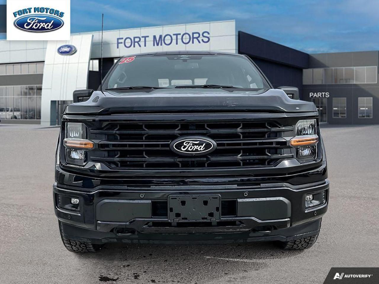 2025 Ford F-150 XLT Photo