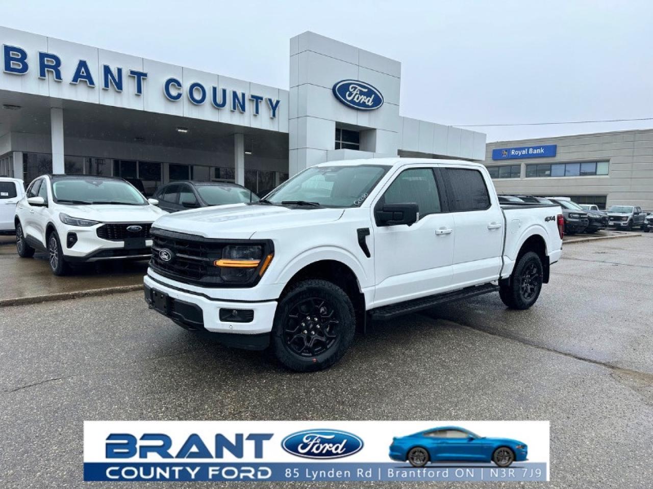 New 2025 Ford F-150 XLT for sale in Brantford, ON