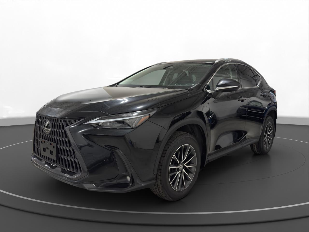 2022 Lexus NX Base