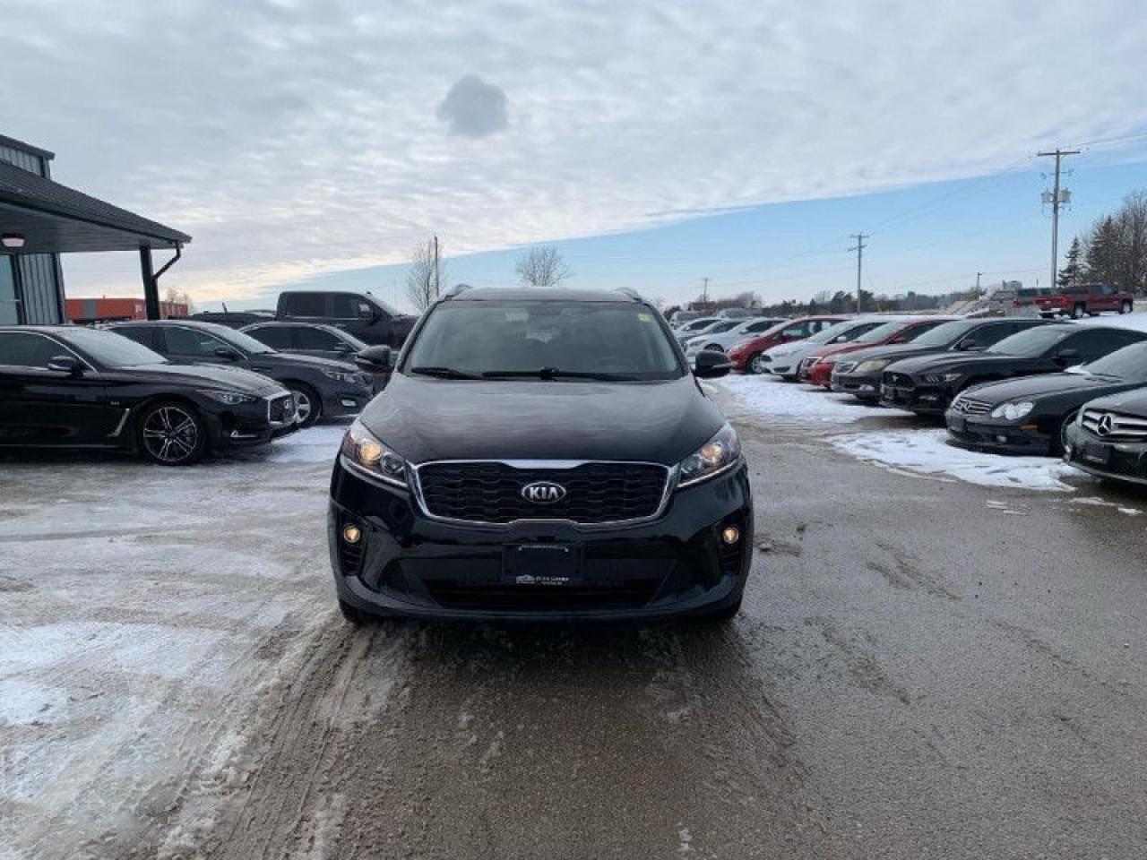 2019 Kia Sorento | 3.3L V6 | 7 PASSENGER | - Photo #8