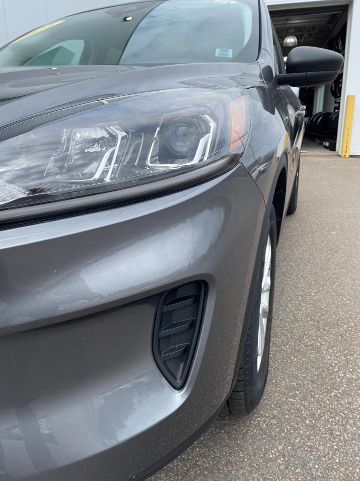 2022 Ford Escape SE Photo