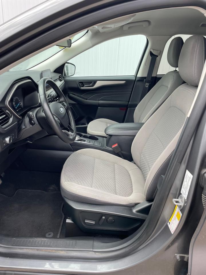 2022 Ford Escape SE Photo