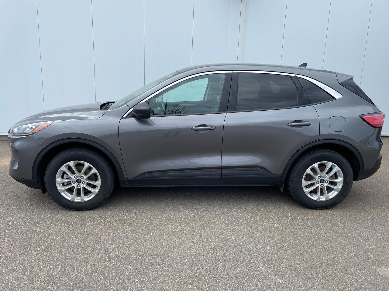 2022 Ford Escape SE Photo