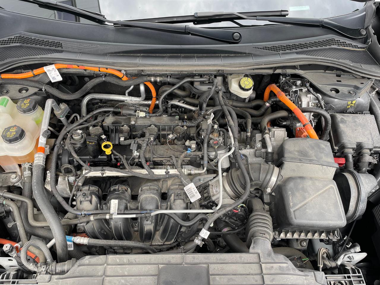 2022 Ford Escape SE Photo
