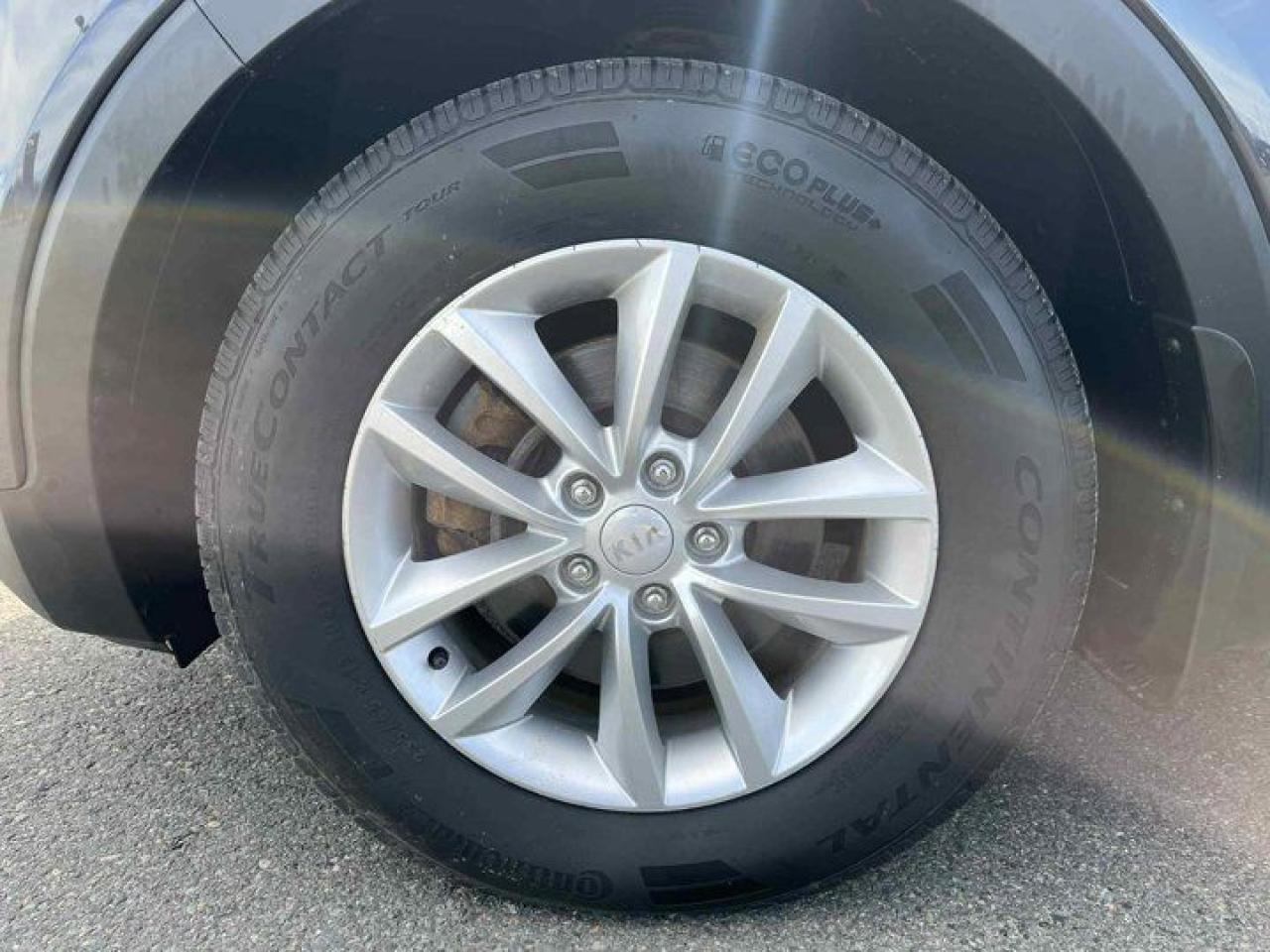12371256