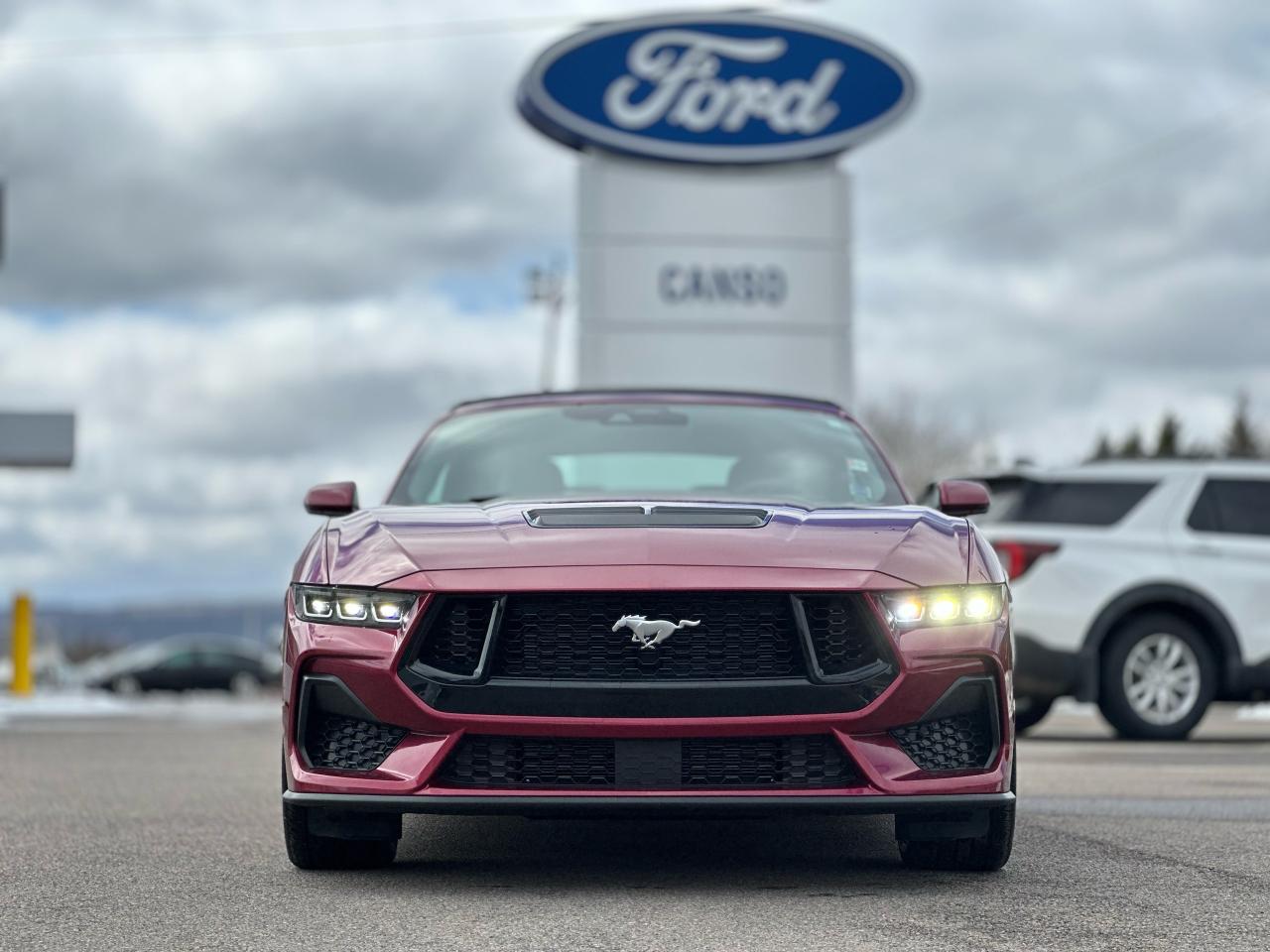 2025 Ford Mustang GT Premium Convertible Photo5