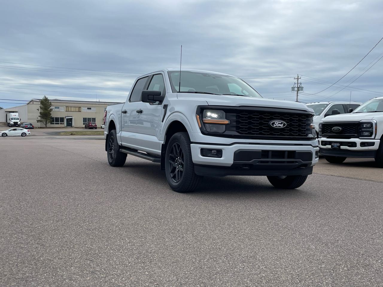 2025 Ford F-150 STX 4WD SuperCrew 5.5' Box Photo5