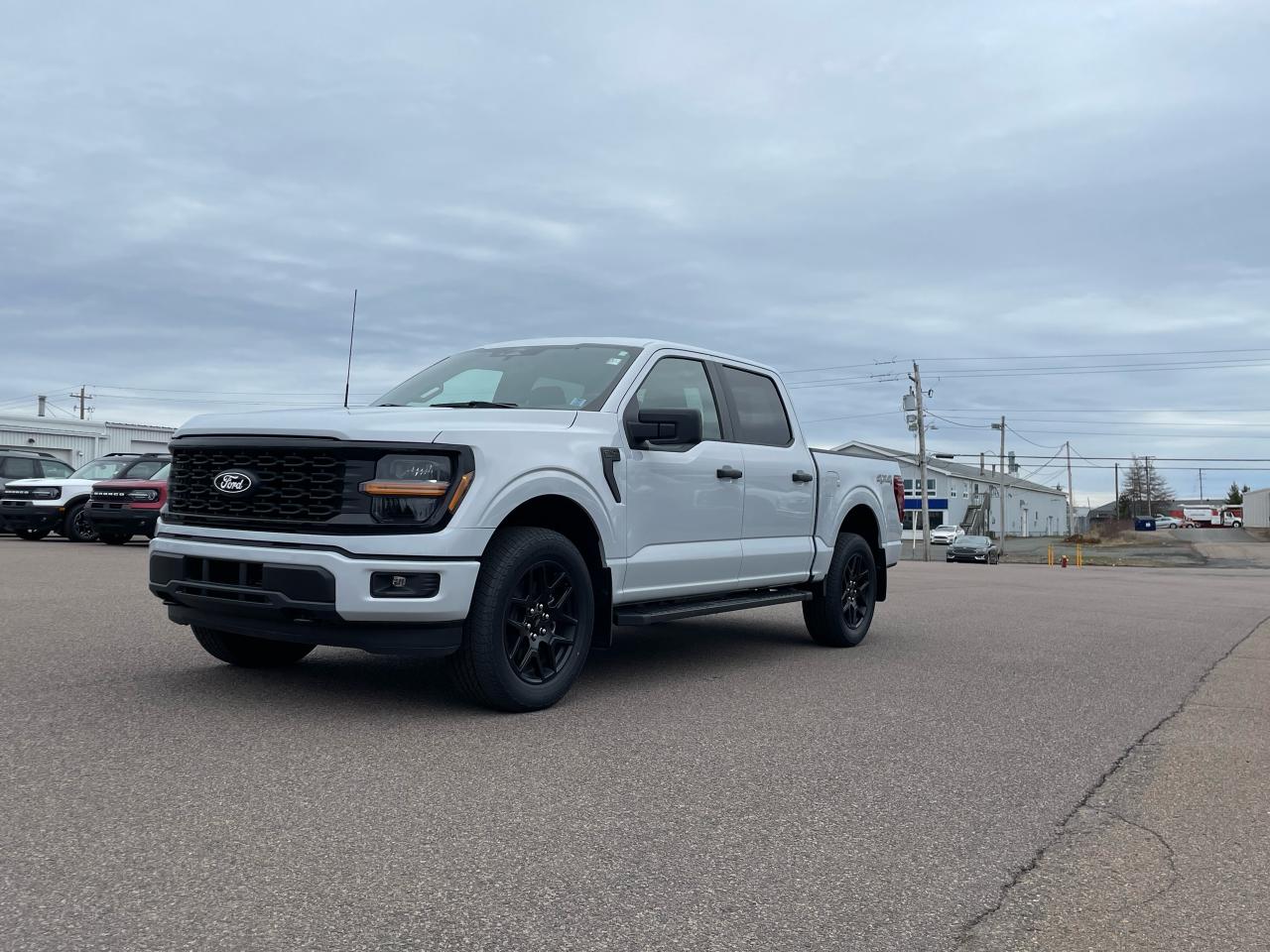 2025 Ford F-150 STX 4WD SuperCrew 5.5' Box Photo1