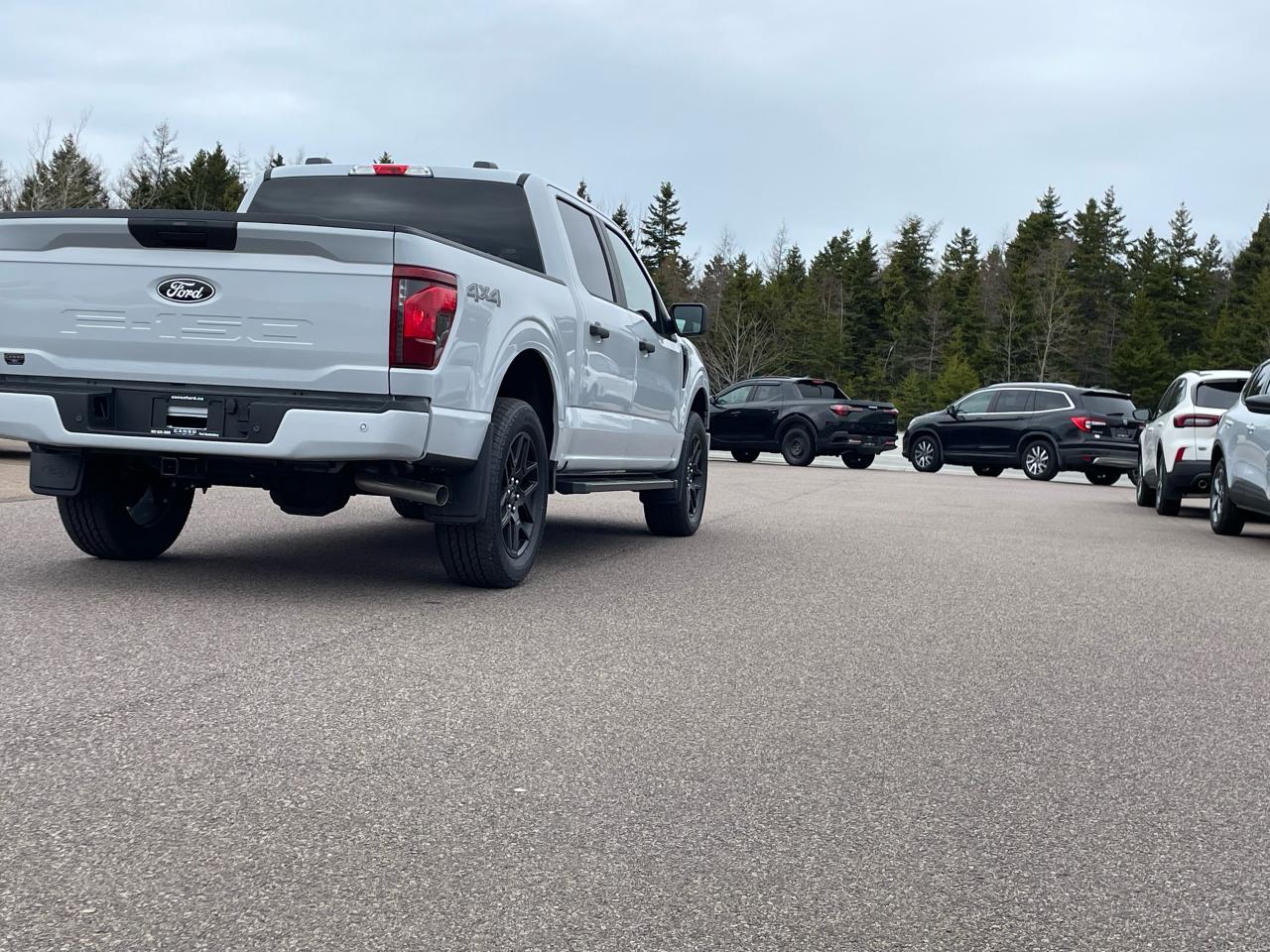 2025 Ford F-150 STX 4WD SuperCrew 5.5' Box Photo