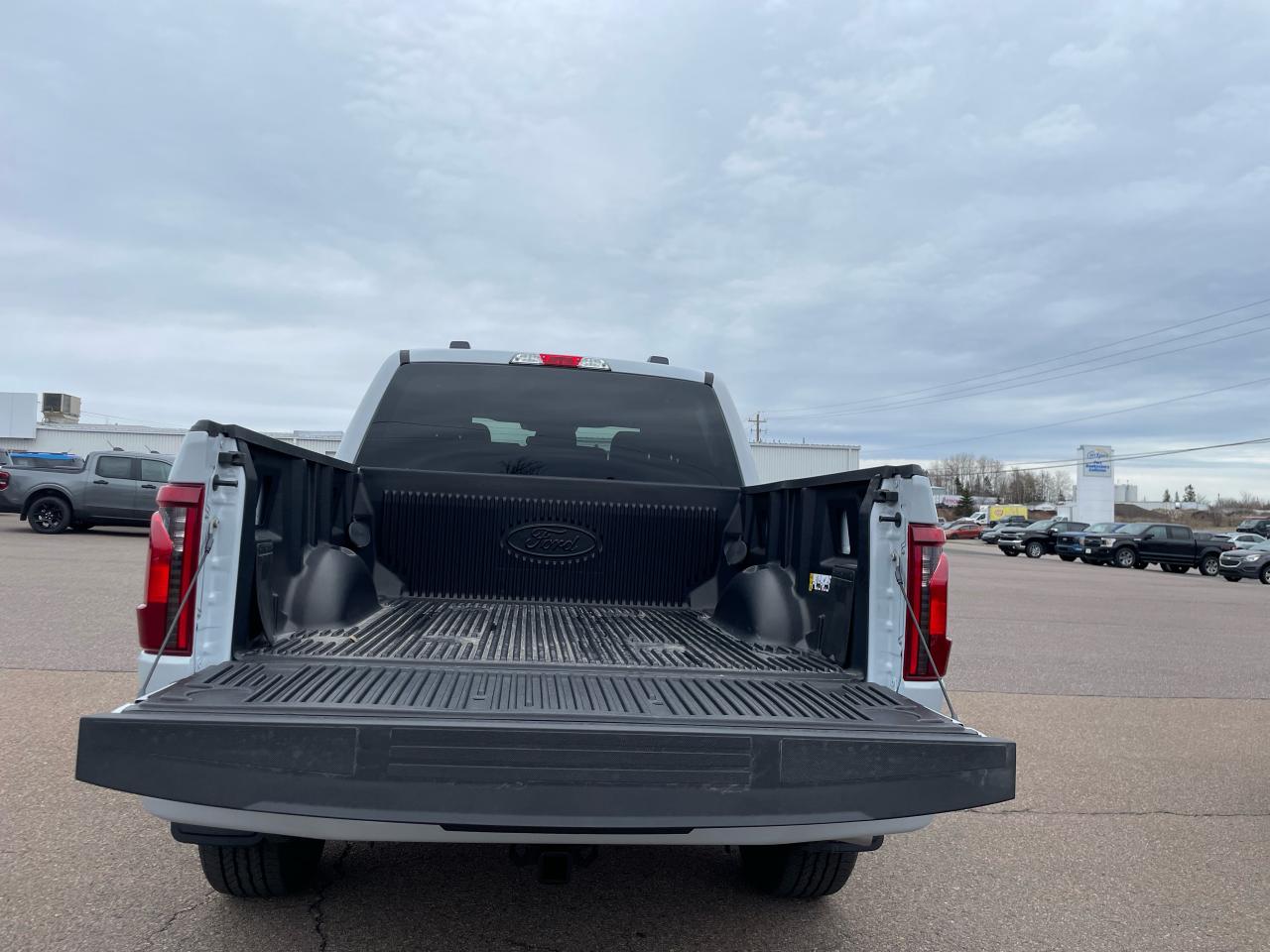 2025 Ford F-150 STX 4WD SuperCrew 5.5' Box Photo5