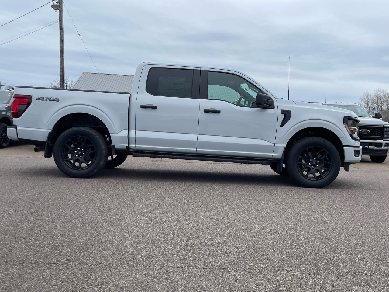 2025 Ford F-150 STX 4WD SuperCrew 5.5' Box Photo5