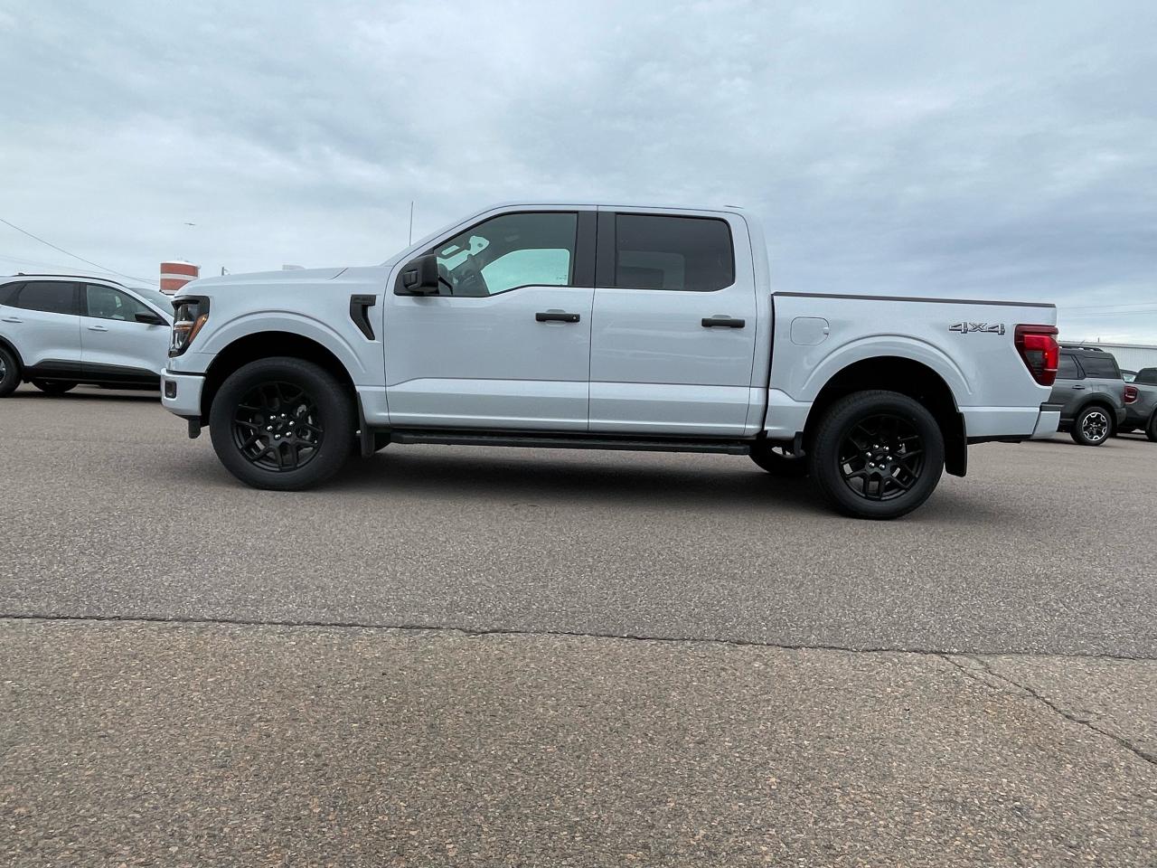 2025 Ford F-150 STX 4WD SuperCrew 5.5' Box Photo2