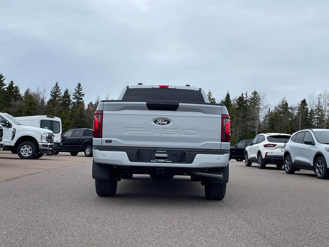 2025 Ford F-150 STX 4WD SuperCrew 5.5' Box Photo4