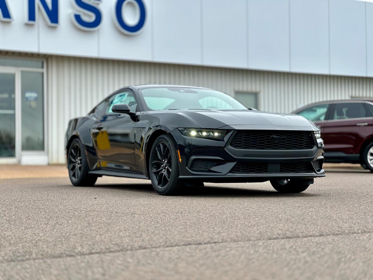 2025 Ford Mustang EcoBoost Fastback Photo2