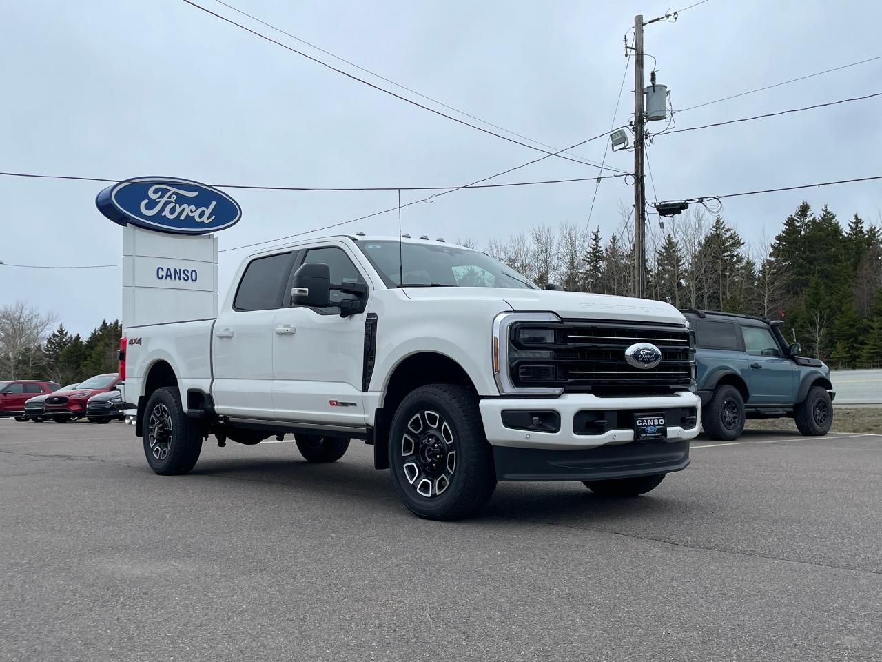 2025 Ford F-250 Super Duty SRW PLATINUM 4WD CREW CAB 6.75' BOX Photo